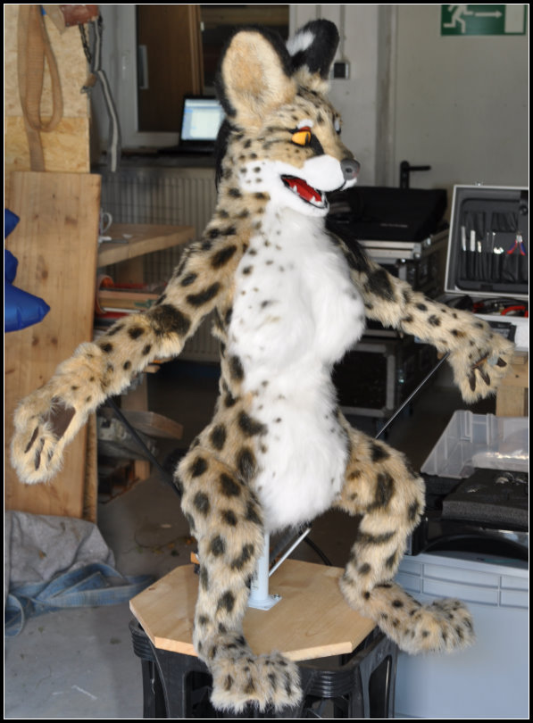 Message Image
