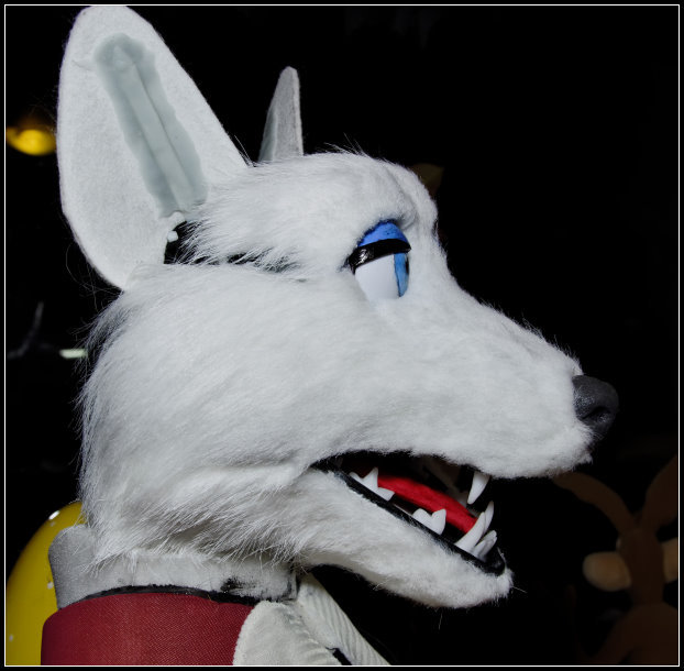 Message Image
